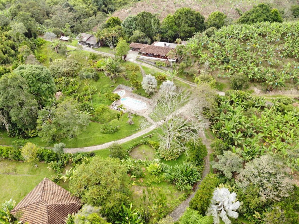 Finca La Colina Bed and Breakfast Calarcá Esterno foto